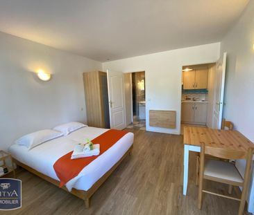 Location Appartement 1 pièce 20m² ST GERMAIN LES ARPAJON 91180 - Photo 5