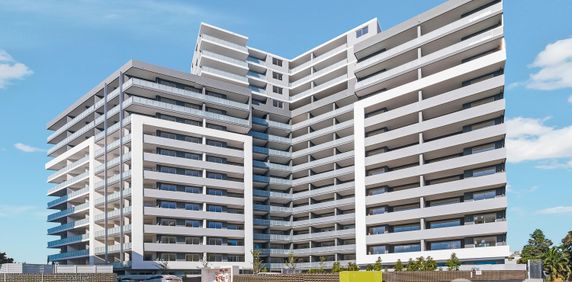 213/22 Dressler Court Merrylands - Photo 2