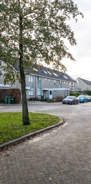 Te huur: Goosse van der Windstraat 15 - Photo 1