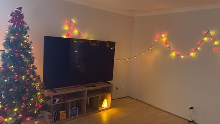 South Lake - Photo 4