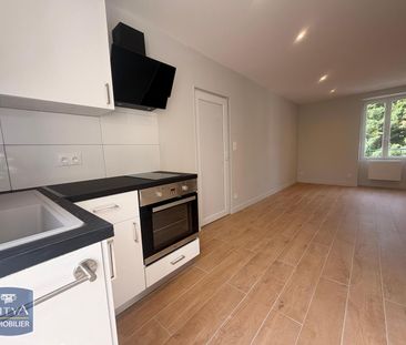 Location Appartement 1 pièce 25m² FONTAINES SUR SAONE 69270 - Photo 3
