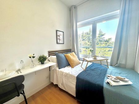 Paseo de la Castellana, Madrid, Community of Madrid - Photo 3