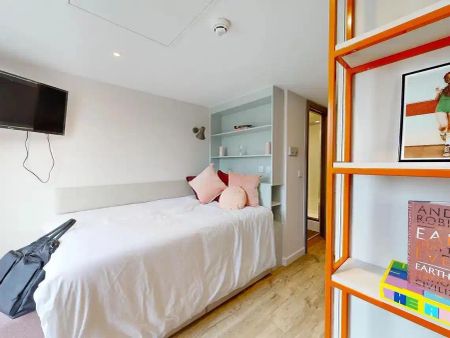 Premium Cluster Studio - Photo 4