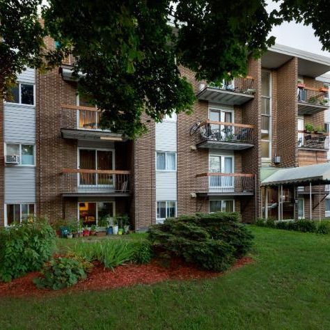 Loft à louer Limoilou novembre 2025 - Photo 1