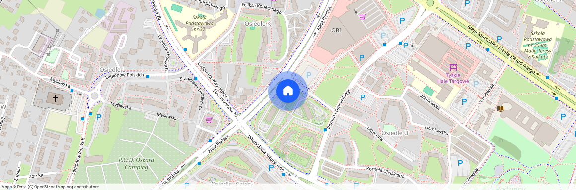 Aleja Bielska, Tychy