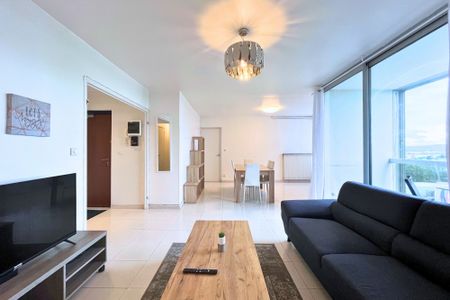 Location Appartement 1 pièce 18m² TOULOUSE 31100 - Photo 3