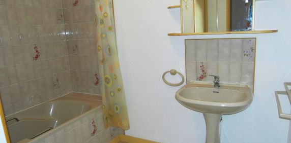 Location Appartement 2 pièces 45m² CHATEAUBRIANT 44110 - Photo 2