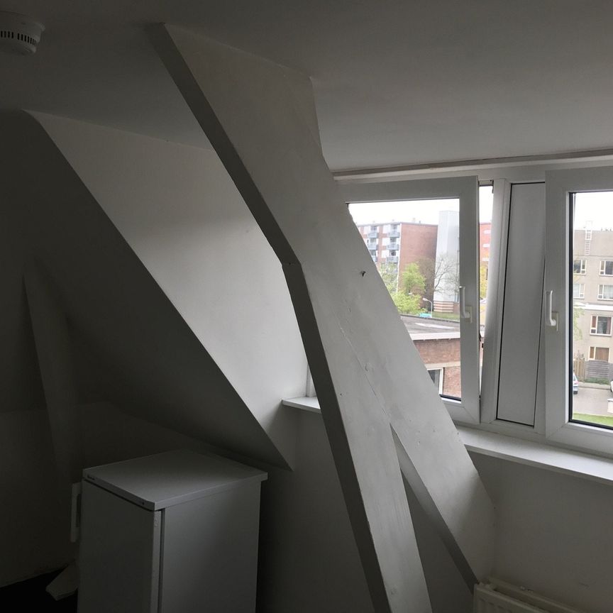 Te huur: Kamer Maastrichtseweg in Den Bosch - Photo 1