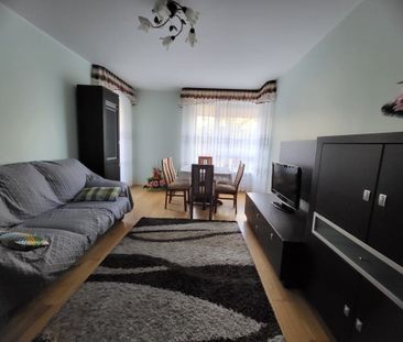 Zobacz ---> 2p.z oddzielną kuchnią 54 m² - Фото 3