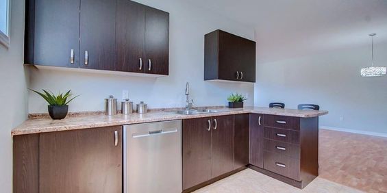 Magnifique Condo, Secteur Hull - Photo 3