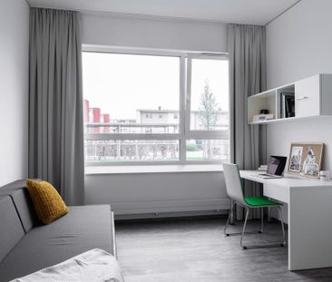 Classic Studio 1.00.57 - Photo 5