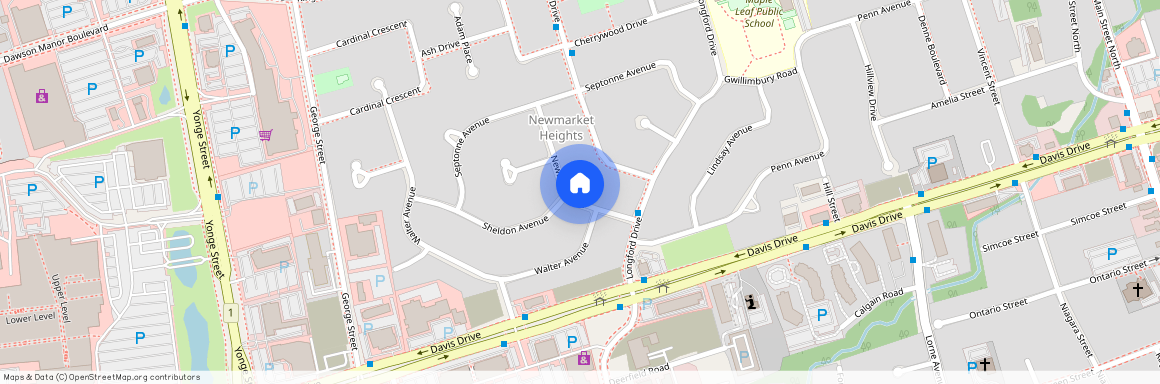 47 Newbury Drive Unit# Lower Fl, Newmarket