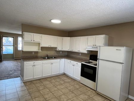 2 Bedroom Units in West Park!! - Photo 4