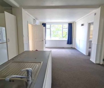 Large 2 bedroom plus study in handy Thorndon location - Photo 1