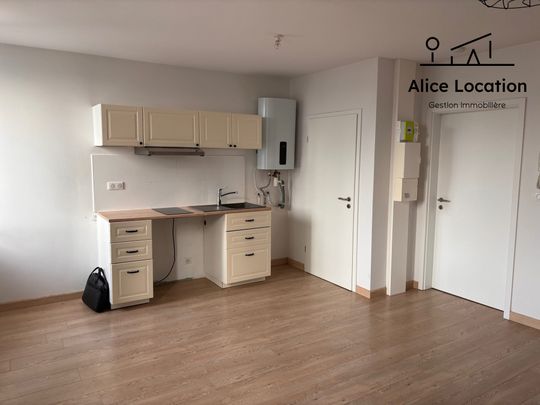 Location Appartement 1 pièce 25m² EVIAN LES BAINS 74500 - Photo 1