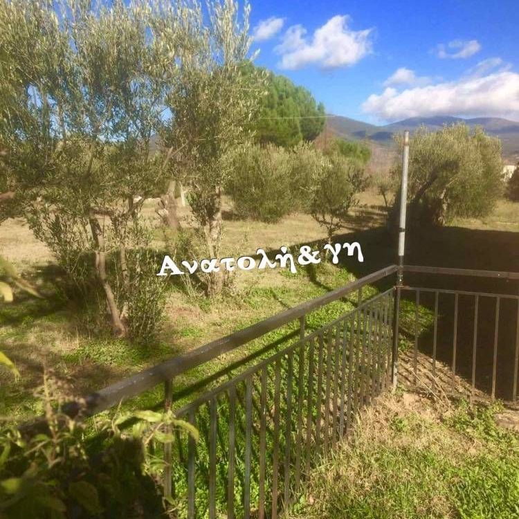 Μονοκατοικία για ενοικίαση Νέα Ραιδεστός (Θέρμη) - Photo 1