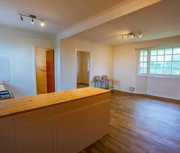 3/1 Ligouri Court, Mayfield NSW 2304 - Apartment For Rent | Domain - Photo 1