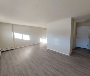 1 Bedroom Unit in Mature Area of Downtown! - Photo 2