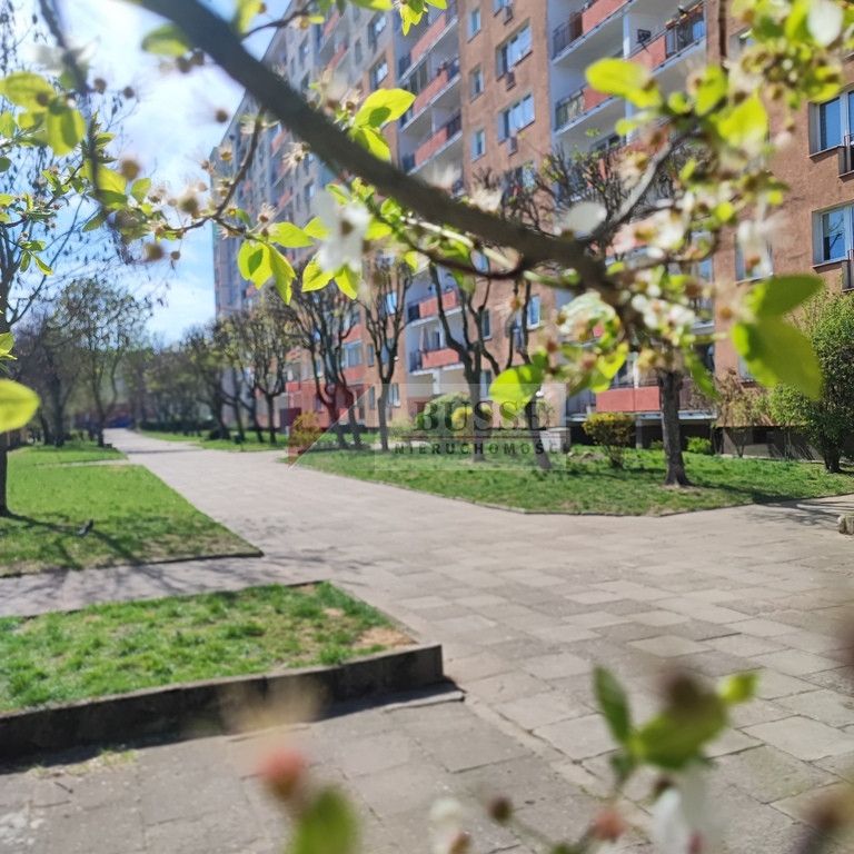 Przytulna kawalerka na wynajem - Photo 1