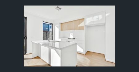 Hi, I'm Brand New and Ready for You... - Photo 4