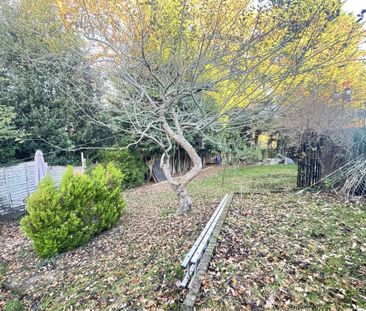 Marlins Turn - Photo 4