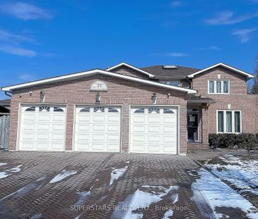 Detached Home For Lease | N8091936 - Photo 4