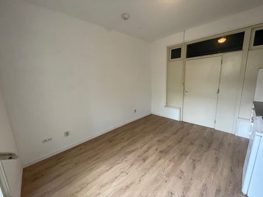 100, Parkweg, Rivierenbuurt, Zuid, Groningen, Nederland, 9725 EM, Nederland - Foto 1