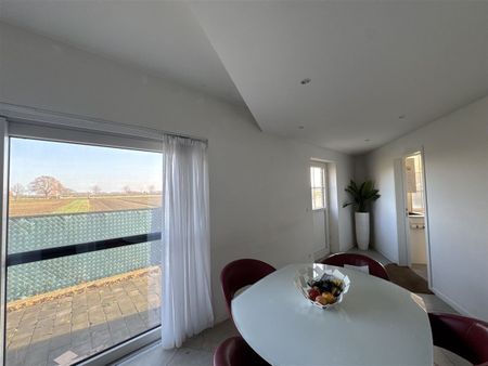 Venlosesteenweg 125, 3680, Maaseik - Photo 4