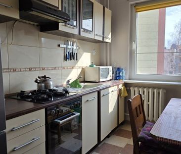 mieszkanie na wynajem - Szczecin, Gumieńce, ul. Antoniego Ledóchows... - Photo 6