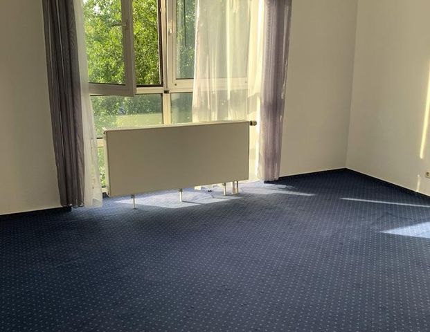 Nähe HAW Lohbrügge: Sehr saubere, wohnliche Singlewohnung (1 P.) - Photo 1