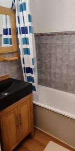 Location Appartement 1 pièce 18m² MONT SAXONNEX 74130 - Photo 4