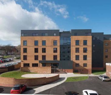 Deluxe Studio - Photo 1