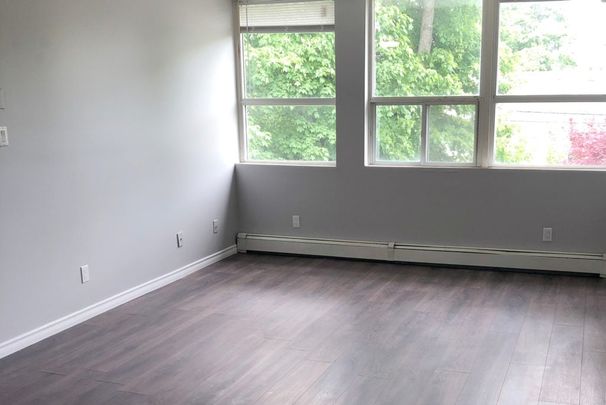 Canboro Garden - Photo 1