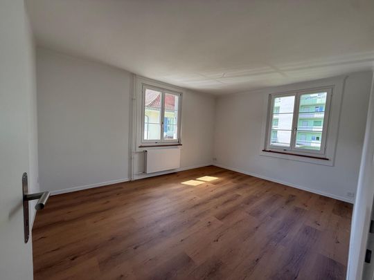 Love at first sight guaranteed: newly renovated apartment in a quiet and green environment - Photo 1