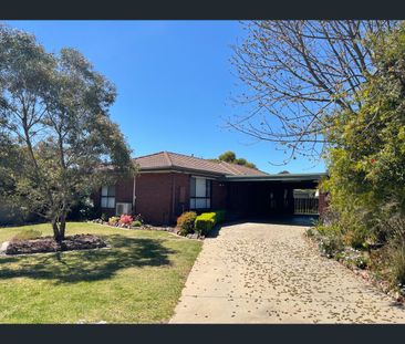 58 Packham Street, Shepparton, Vic 3630 - Photo 3