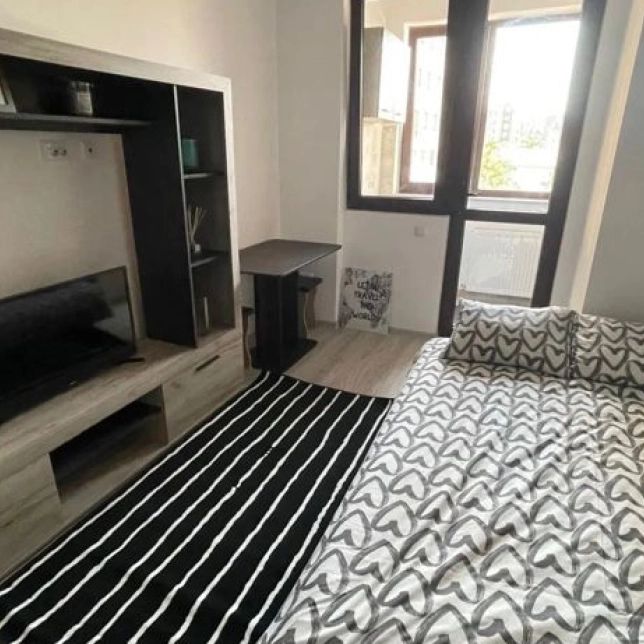 Apartament de inchiriat, 1 camera, decomandat, 22 mp, Central, Palas Mall, Cod 161245 - Fotografie 1