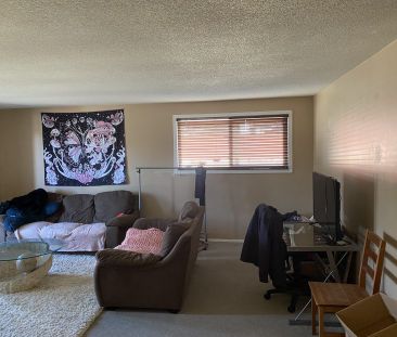 1 bed – 1 bath Apartment - Photo 3