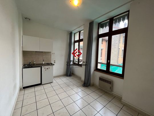 Location Appartement 1 pièce 15m² GRENOBLE 38000 - Photo 1