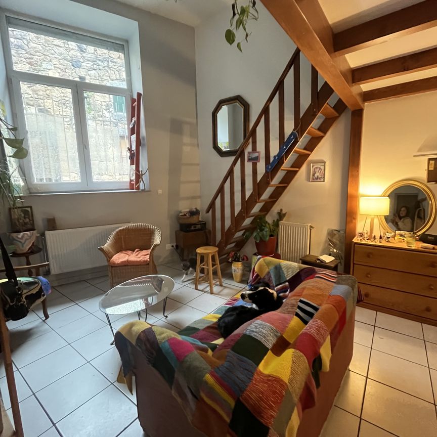 Location Appartement 2 pièces 51m² ANNONAY 07100 - Photo 1