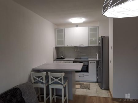 MIESZKANIE na WYNAJEM - Photo 3