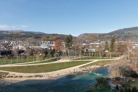 Leben neben der Schüssinsel - Vivre près de l'île de la Suze - Foto 5