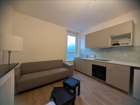 2 pièces - Meublé - 38,4 m² - 1er étage - Colocation non autorisée - Photo 3