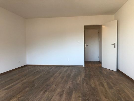 Singlewohnung im Zentrum von Zumikon - Foto 1