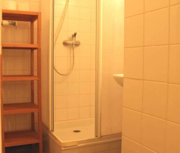 Location Appartement 2 pièces 47m² GRENOBLE 38000 - Photo 4