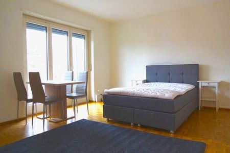 Vanessa #1 - Photo 2