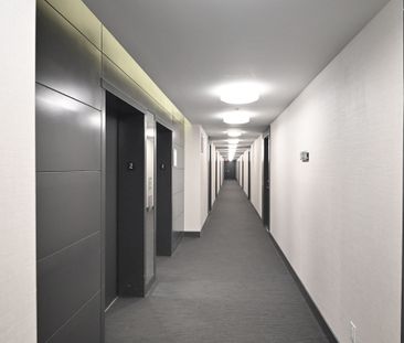 For Lease - 377 Madison Avenue Unit# 224, Toronto, Ontario - Photo 6