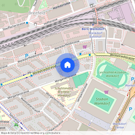 Winkelriedstr. 13, 3014, Bern