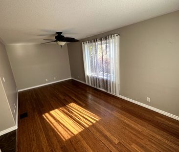 For Lease - 786 Rockaway Road, Georgina, Ontario - Photo 2