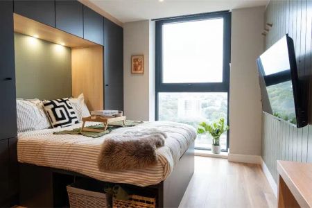 Classic Studio Plus - Photo 3