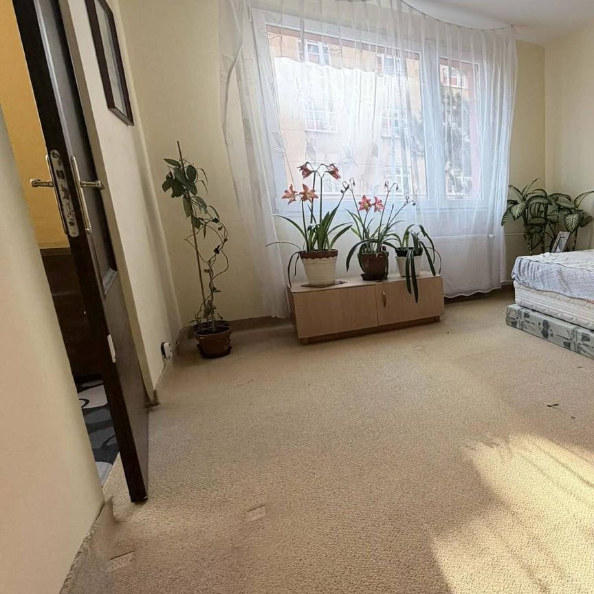 Pronájem bytu 3+1 80 m² - Photo 1